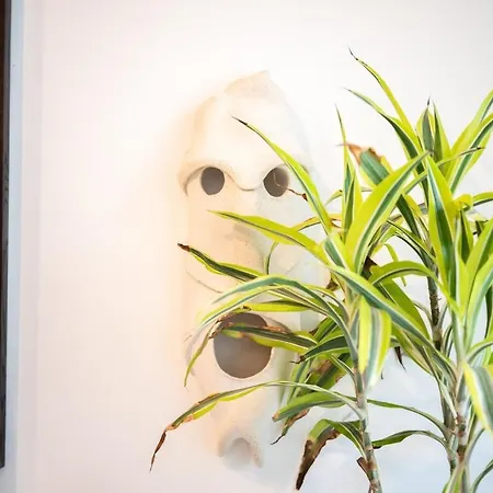 áurea Prime Design *